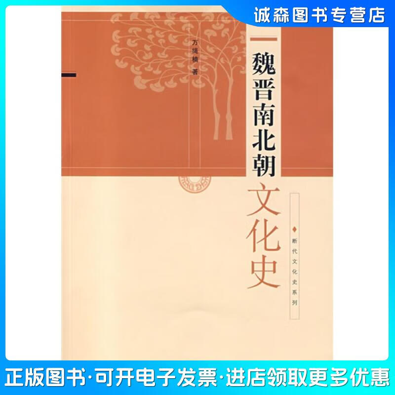 Wan Shengnan (Wan Shengnan's historical commentary on the Wei, Jin, Southern and Southern Dynasties)